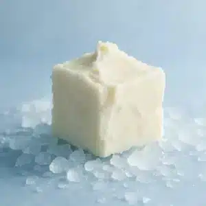 Jar of raw shea butter with natural shea nuts on a rustic wooden surface, symbolizing its role in morning protection and nighttime repair for healthy skin